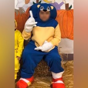 Sonic the Hedgehog Halloween costume